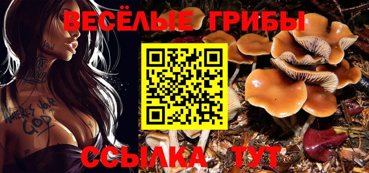 Псилоцибиновые грибы мицелий Воскресенск